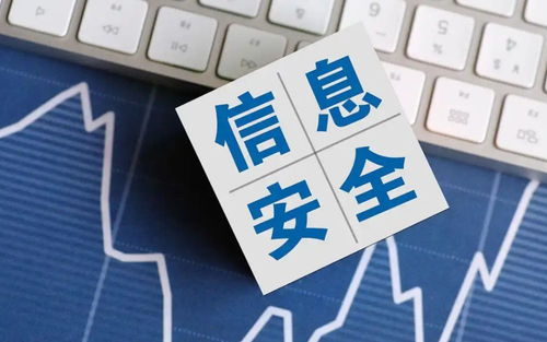 2025年國家網絡安全宣傳周 聚焦網絡與信息安全軟件開發(fā)